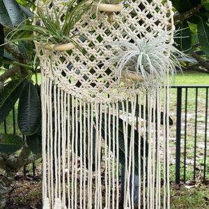 Homemade Macrame Air Plant Wall Hanging